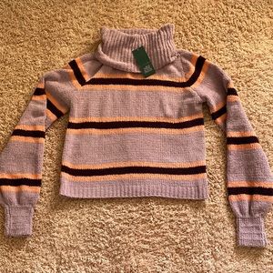 Wild Fable sweater